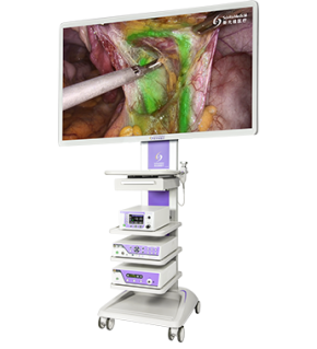 Laser Therapy System
