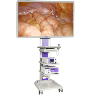 Rehabilitation Device